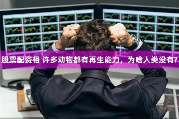 股票配资相 许多动物都有再生能力，为啥人类没有?